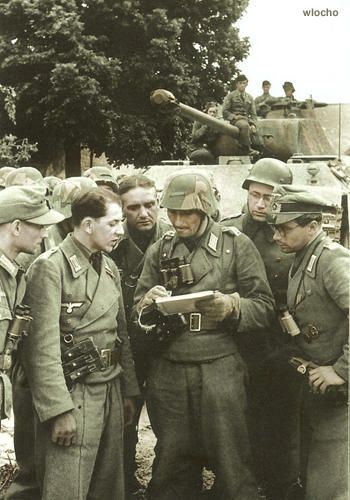 Panzer crewmen and grenadiers in field uniform gathered around a map